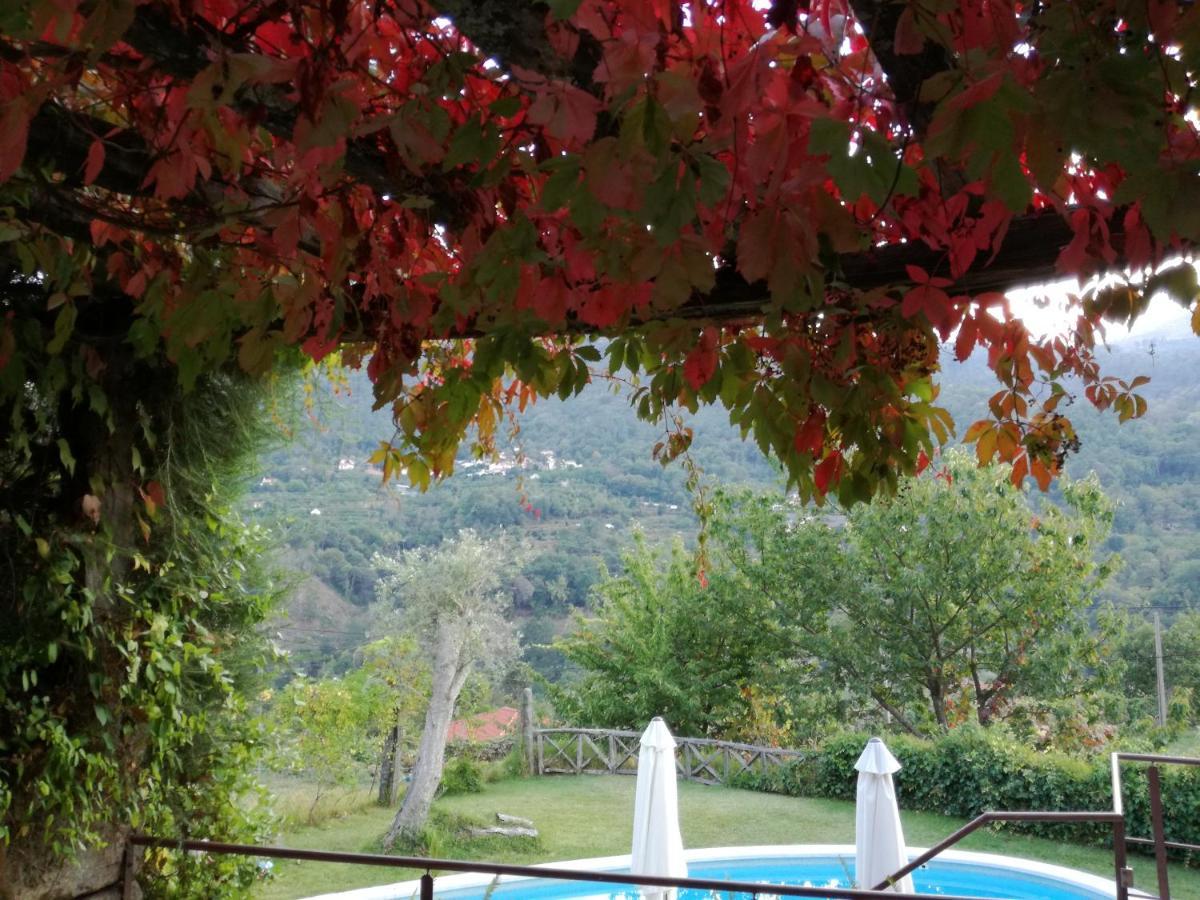 Casa Do Moleiro Guest House Cinfães Eksteriør bilde